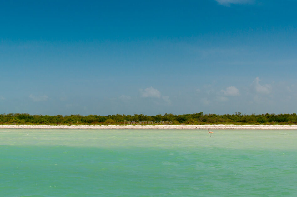 Playa en Holbox. Fotografía de RivieraMaya.mx; DR.