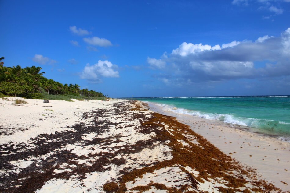 Playa de Chmuyil. Fotografía de Juliane Schultz; Licencia Creative Commons.