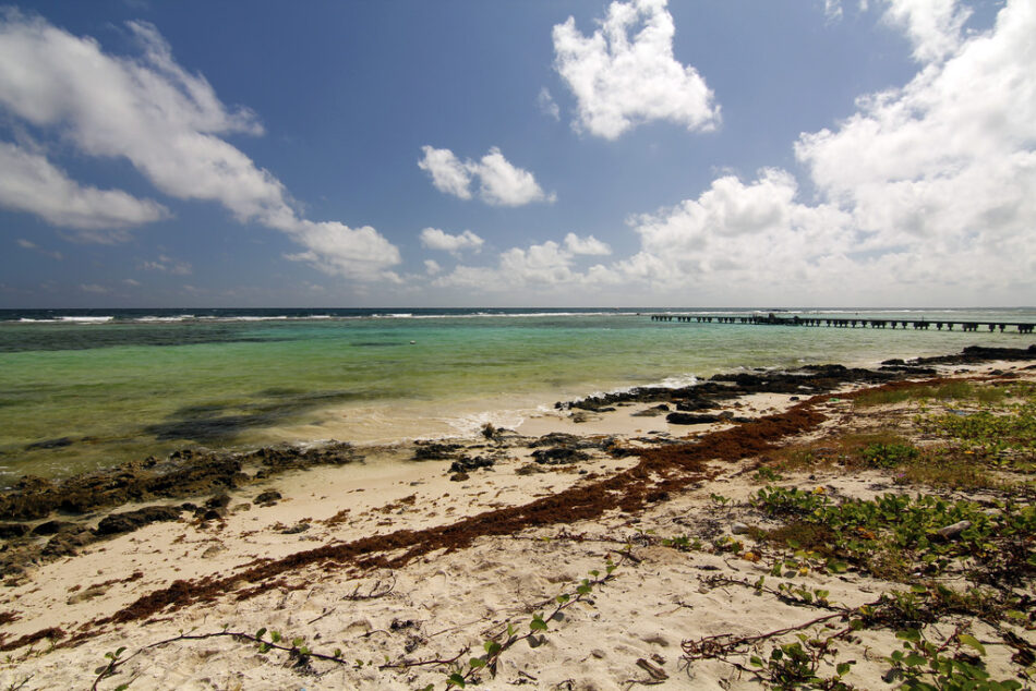 Playa Mahahual Fotografía de descubriendoelmundo; Licencia Creative Commons.