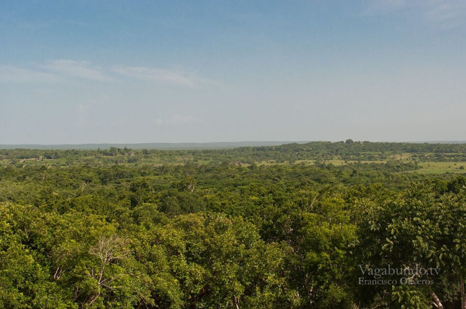 Kinichná view from the Temple of the Sun Inscriptions.