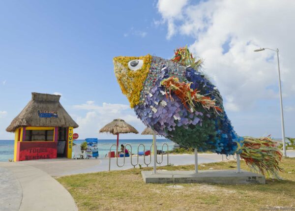 pesca riviera maya