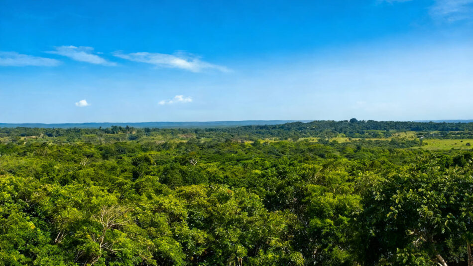 Kinichná view from the Temple of the Sun Inscriptions.