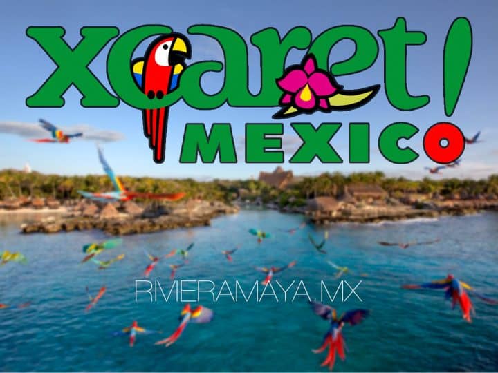 What to do in Xcaret 10+ Activities. Riviera Maya