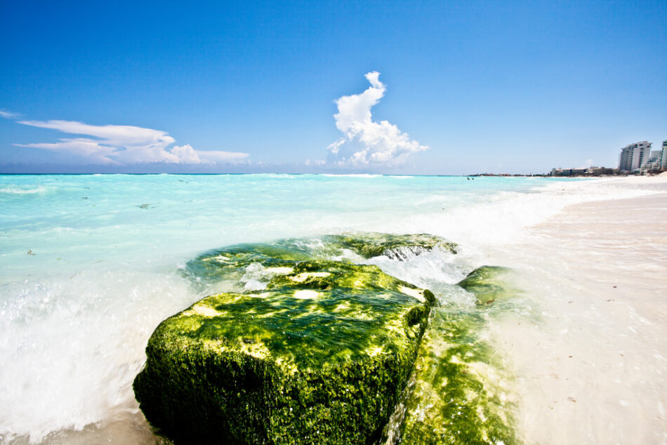 Plage de Cancún. CC. Photo de Milton Correa.