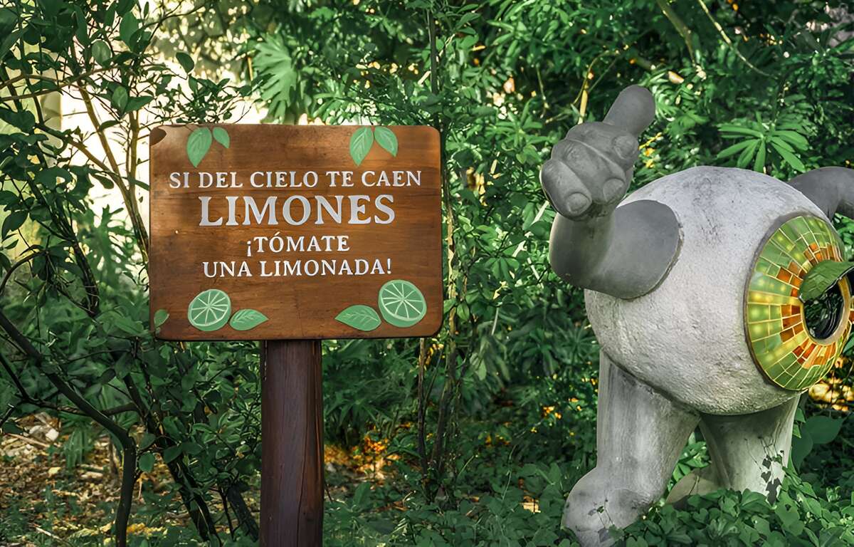 Sculpture of an anthropomorphic eye in a garden. A sign that says "If lemons fall from the sky. Have a lemonade".